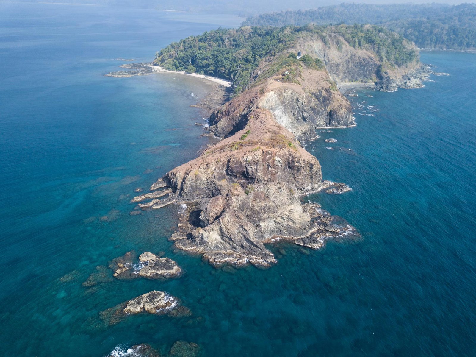 Snorkel and reef life near the marine park